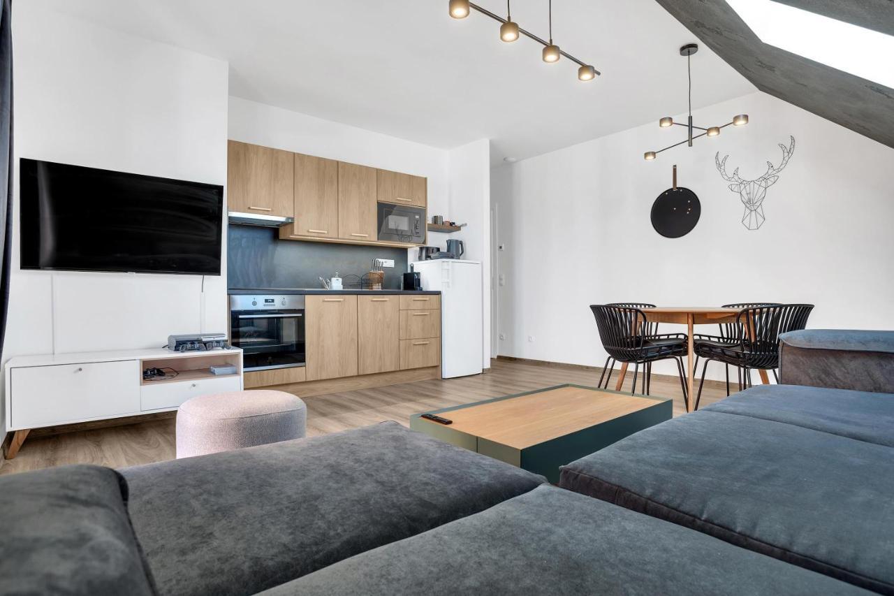 Mirabel Apartments Klinovec โลชนา โปด กลิโนฟเซม ภายนอก รูปภาพ